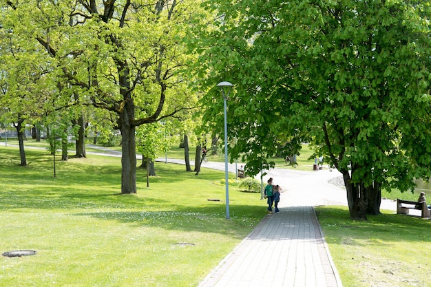 Foto il parco della città in un giorno d'estate