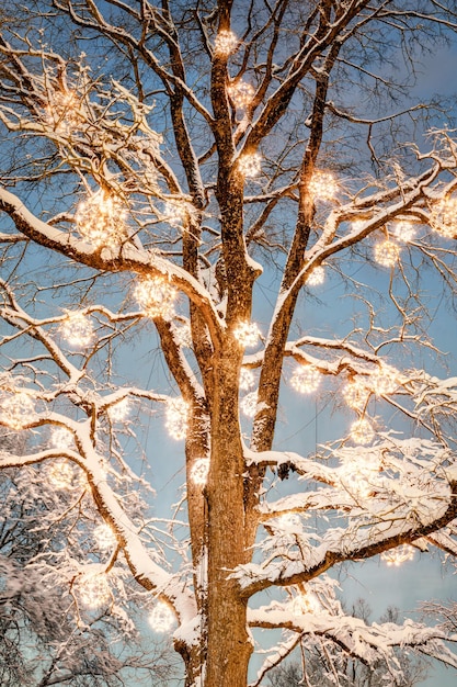 Foto parco cittadino in inverno bellissimo paesaggio prima di natale