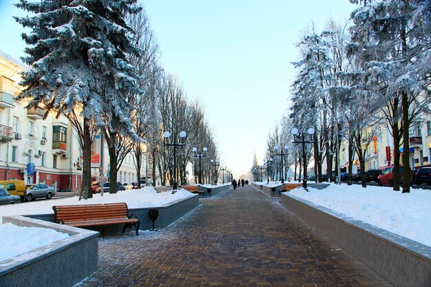 City park in the winter