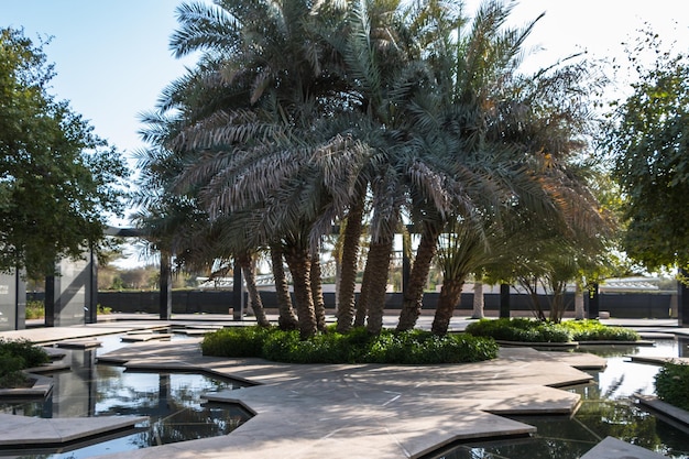UAE 아부다비의 이국적인 야자수 식물원이 있는 도시 공원
