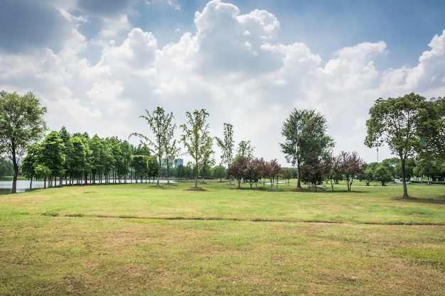 City park with modern building background