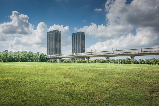 Foto parco cittadino con sfondo di edificio moderno