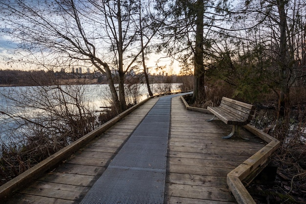 City Path in the park with a nature view