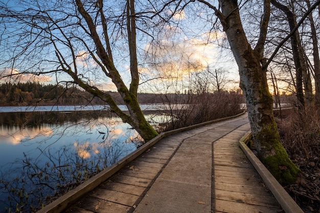 City Path in the park with a nature view