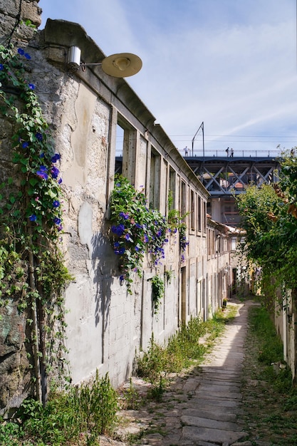 City of porto portugal