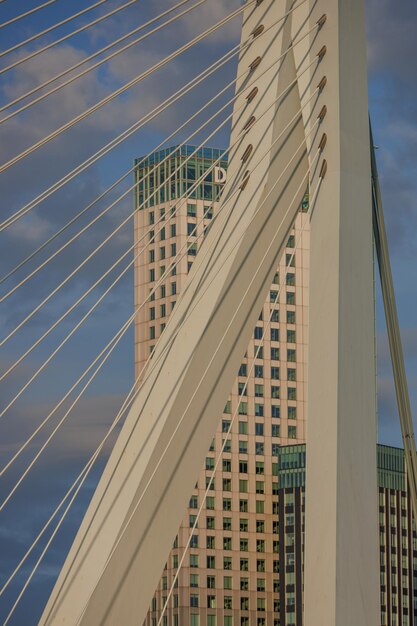 Photo the city of rotterdam in the netherlands