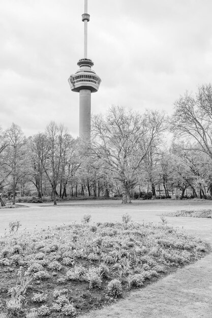 Photo the city of rotterdam in the netherlands