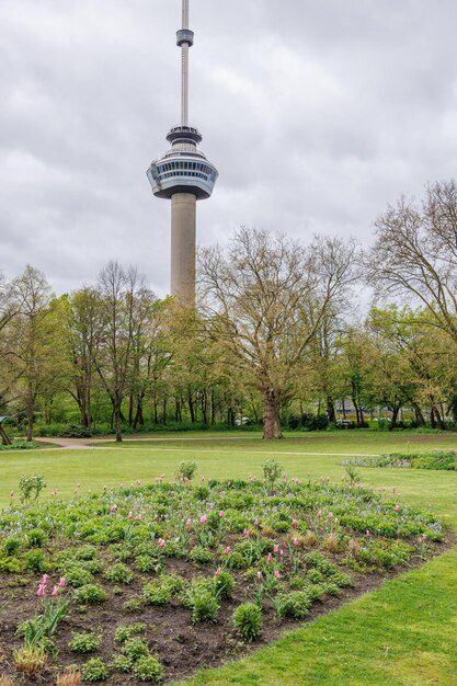 Foto la città di rotterdam nei paesi bassi