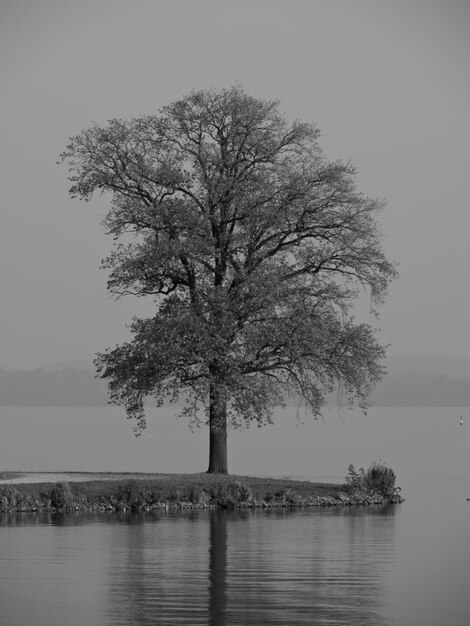 Photo the city of schwerin in mecklenburg vorpommern germany