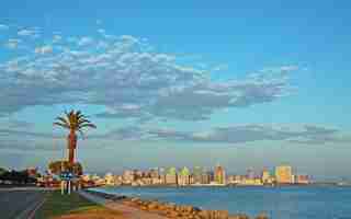 Photo a city skyline with a palm tree and a sign for the city of california