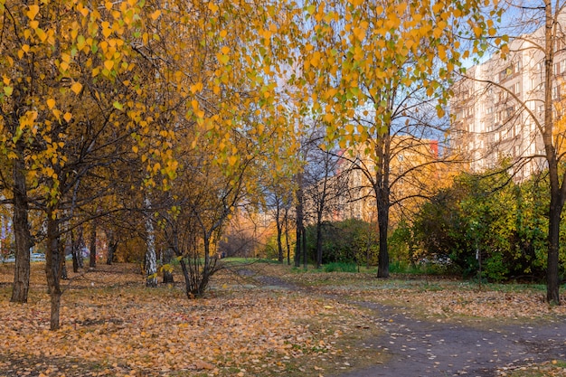 The city street footpath strewn with fallen yellow, orange and red leaves. Autumn landscape.