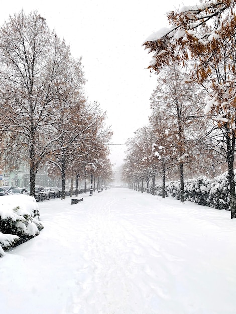 Городская улица в снегу без людей Идет снег