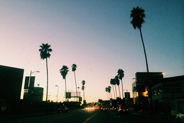 City street at sunset