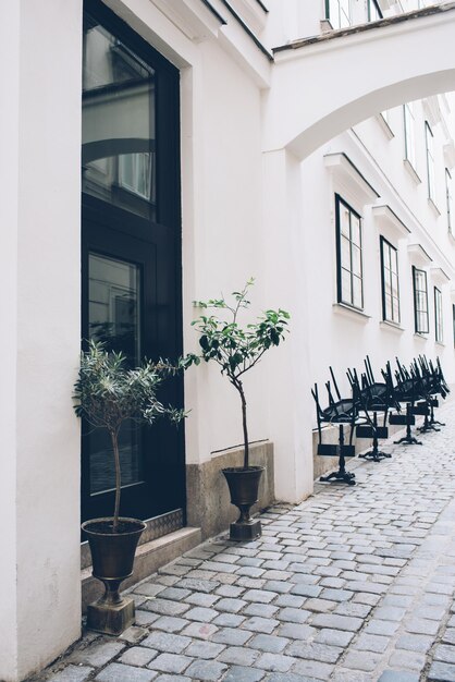 City street white walls and architecture trees in flowerpots