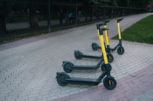 City transport electric scooter - eco-friendly means of transportation, rent on the city street