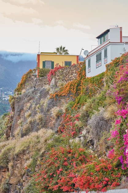 City view of residential buildings or houses on hill cliff in\
santa cruz la palma spain historical spanish colonial architecture\
vibrant flowers in tropical village of famous tourism\
destination