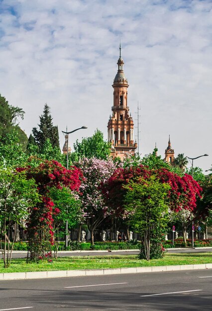 City view of Seville Spain Spring landscape