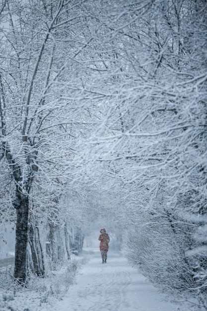 City view, snowy weather, winter city streets, man in red