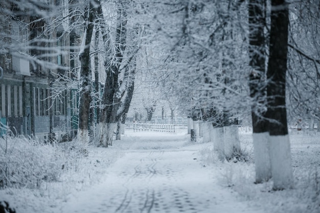 City view, snowy weather, winter streets of the city