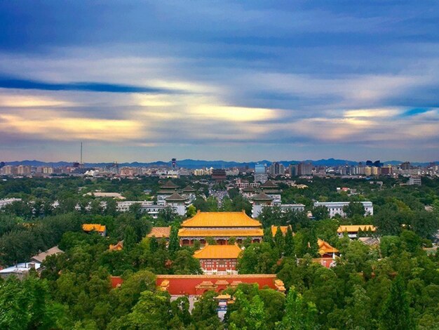 Premium Photo | City view
