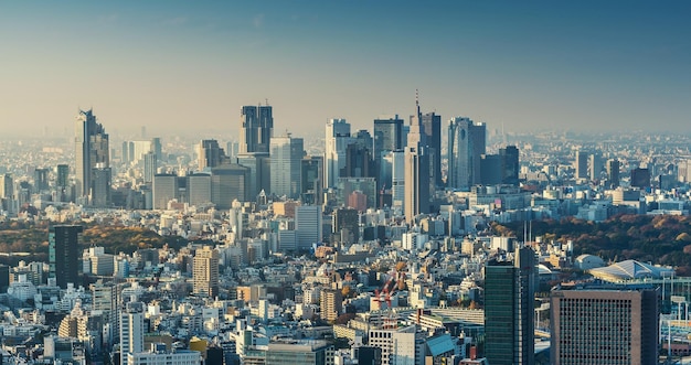 空に照らされた都市風景