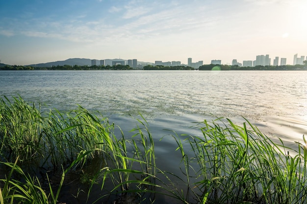 中国無錫の湖畔の街並み