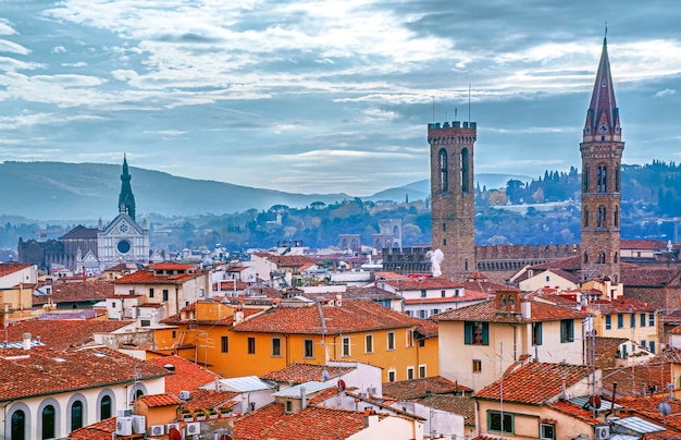 Cityscape and the Palazzo Vecchio in Florence Italy