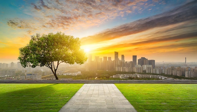 Cityscape Sunrise from an Empty Floor with a Tree