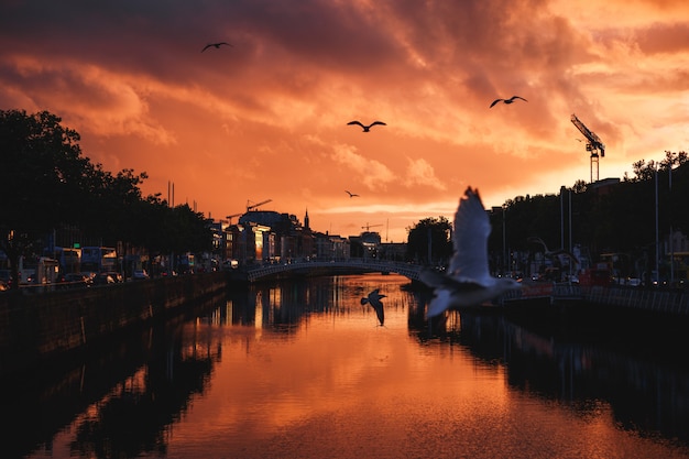 Foto cityscape van dublin tijdens een kleurrijke zonsondergang met wolken en zeemeeuwen over rivier liffey