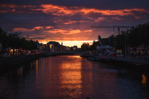 Cityscape van Dublin tijdens een kleurrijke zonsondergang met wolken en zeemeeuwen
