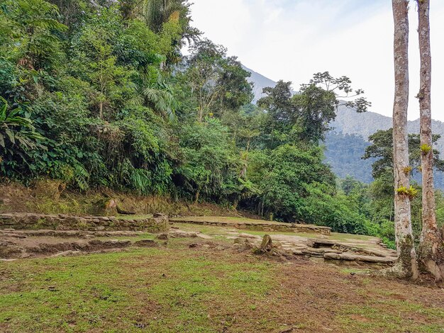 Photo ciudad perdida in colombia