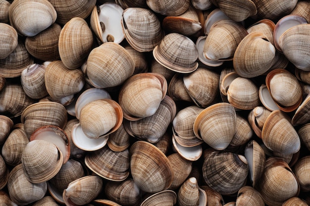 Clams as texture