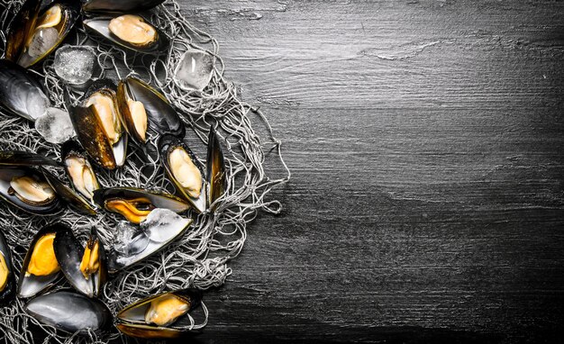 Clams on the fishing net. On a black wooden background. Free space for text . Top view