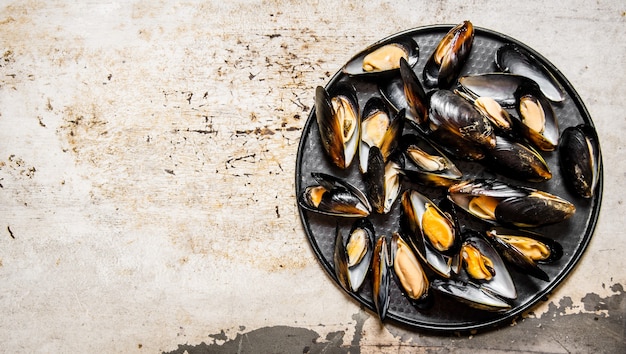 Clams on tray. On rustic background. Free space for text .