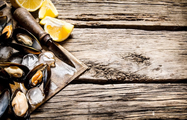 Clams with lemon and ice on a wooden Board