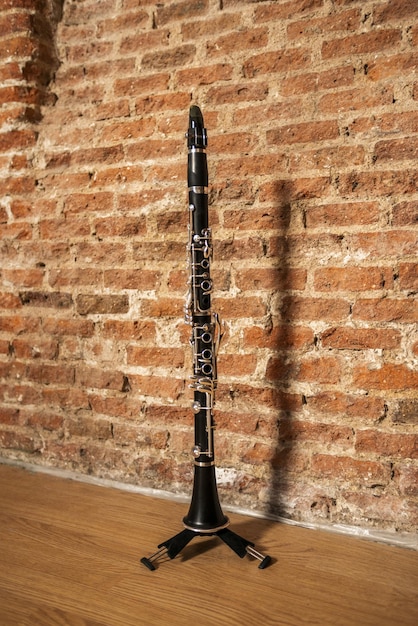 Кларнет в оркестре находится в секции деревянных духовых инструментов вместе с флейтой, гобоем, саксофоном и фаготом.