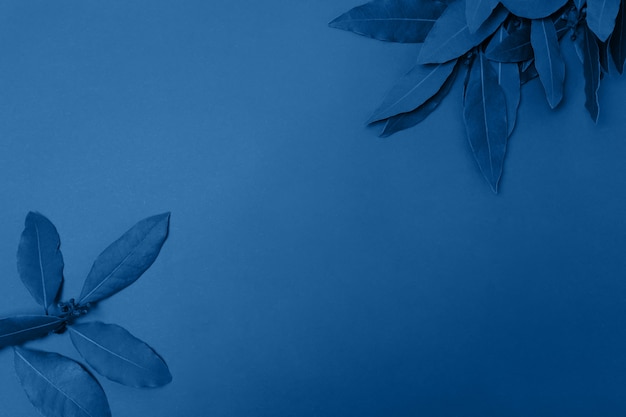 Classic blue background of exotic leaves is painted in classic blue color