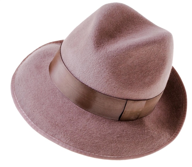 Photo classic brown felt man's hat