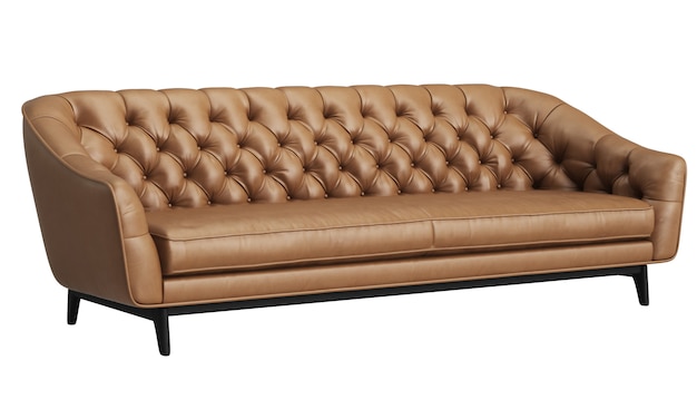 classic tufted sofa isolated on white background