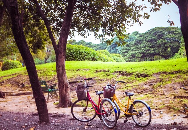 Classic Vintage Retro Bicycle Stop in Park