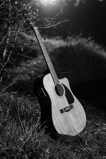 Classical guitar at grass in forest at night.