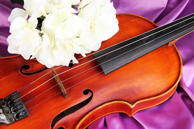 Classical violin on fabric background