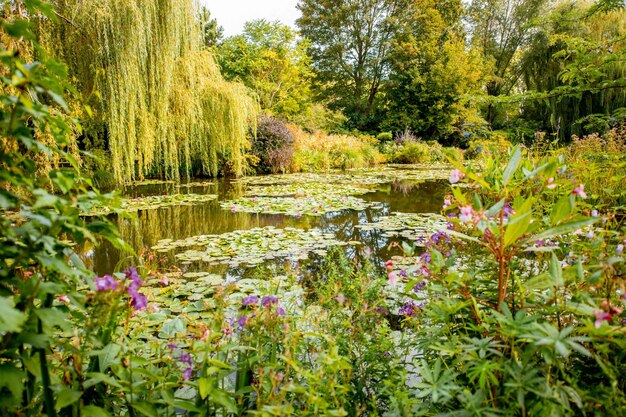 Photo claud monetaposs garden in giverny