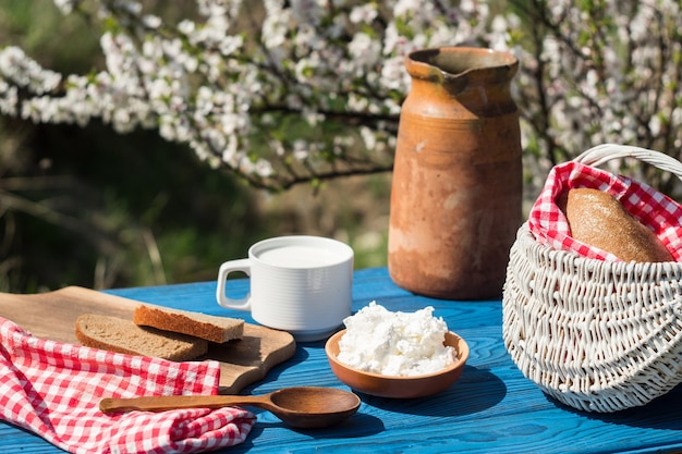 Clay jug, basket, a cup of milk, cottage cheese and bread on a table of blue boards against the background of a flowering bush