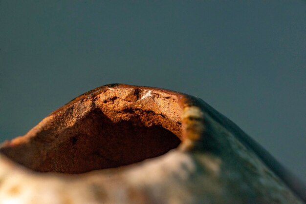 Clay pot fragment close up