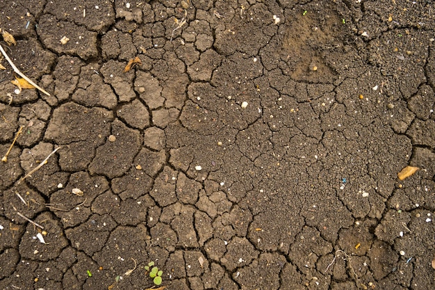Foto terreno argilloso durante la stagione secca superficie esposta dopo l'alluvione.