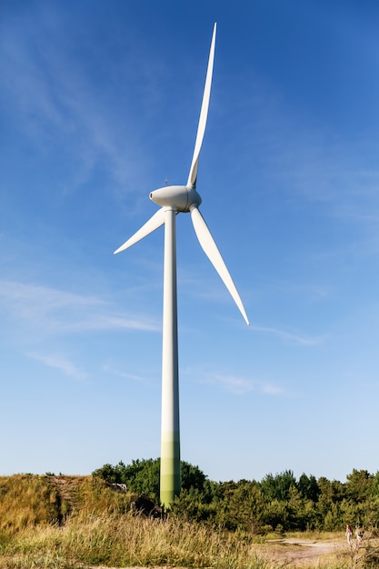 Clean energy wind generator