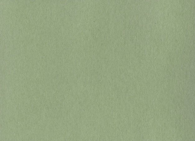 Clean green kraft cardboard paper surface texture