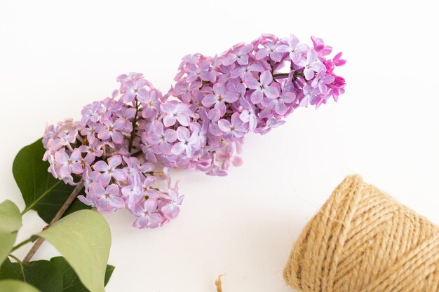 Photo clean notepad with spring lilac flowers on white wooden background