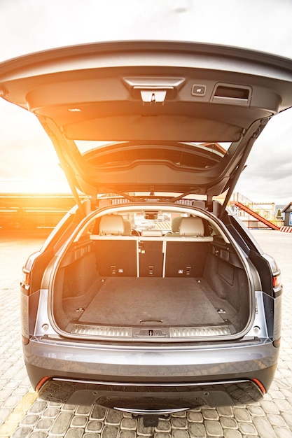 Clean open empty trunk in the car